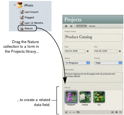Illustration of dragging collection in iPhoto library to form in Projects library to create related data field