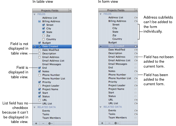 Picture showing different states of fields in Fields pane in form view versus table view