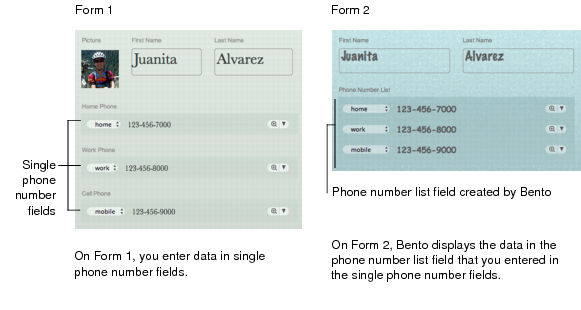 Form showing data you entered in phone number fields. Another form showing how Bento displays data from phone number fields in phone number list field