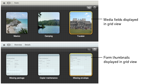 Illustration of media fields and form thumbnails in grid view