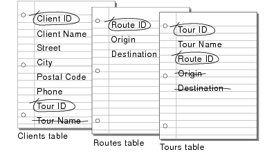 Unnecessary fields in the Clients table, Routes table, and Tours table