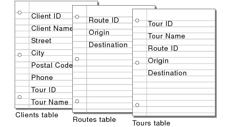 Fields in the Clients table, Routes table, and Tours table