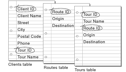 Fields identified as match fields in the Clients table, Routes table, and Tours table