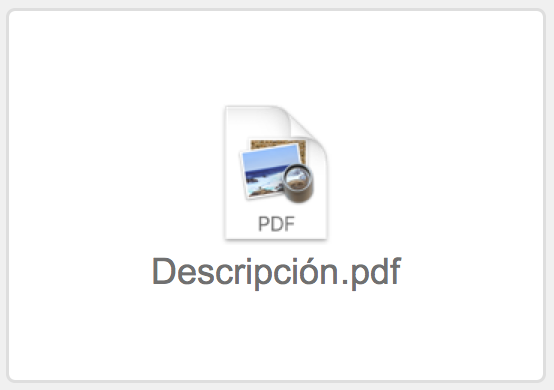 Campo contenedor mostrando un icono de archivo PDF