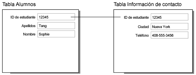 Registros de las tablas Alumnos e Información de contacto que muestran el resultado de una relación de uno a uno