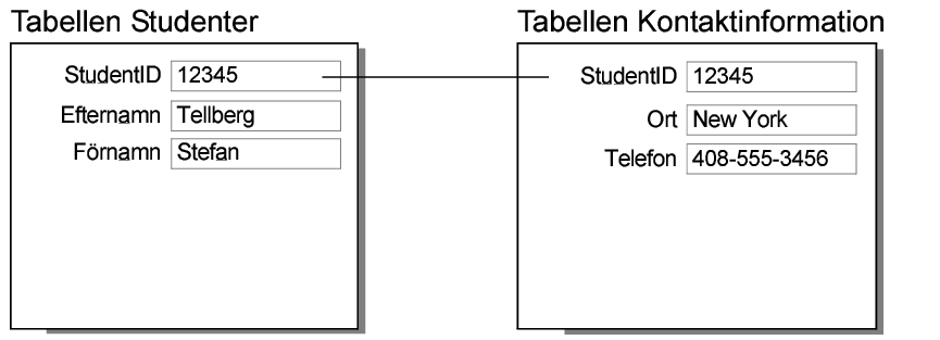 Poster i tabellerna Studenter och Kontaktinformation som visar resultatet av en relation av typen en-till-en
