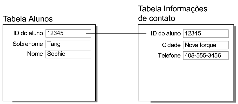O campo de correspondência pode associar um único indicador de registro