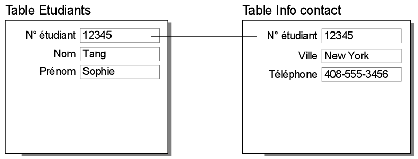 Enregistrements des tables Etudiants et Contacts montrant un résultat de type lien un à un